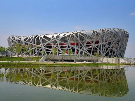 The Bird's Nest