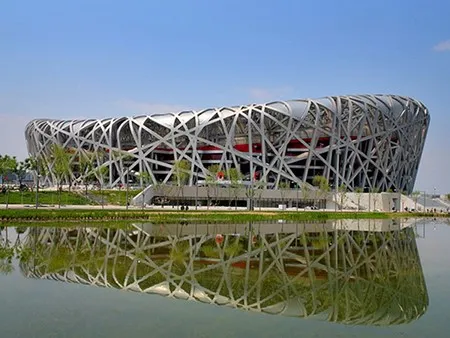 The Bird's Nest