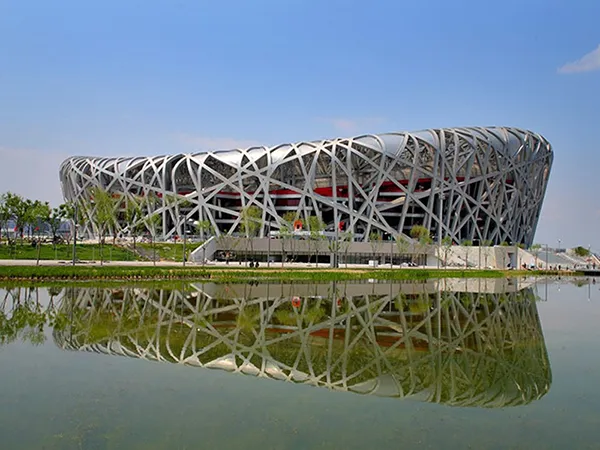 The Bird's Nest