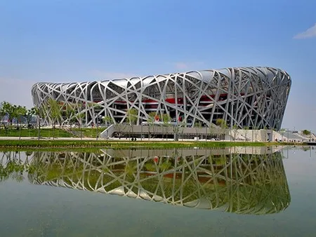 The Bird's Nest